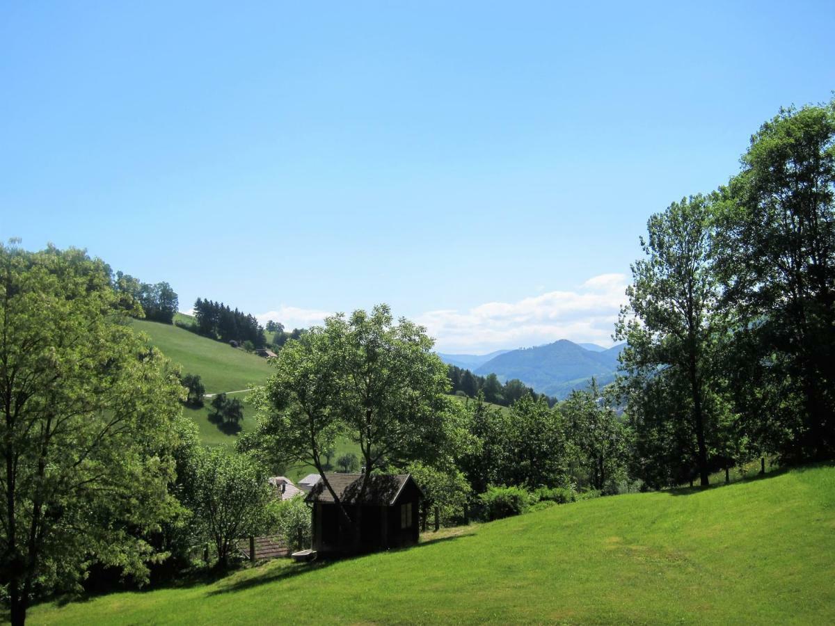 Appartement Ambiente Waidhofen an der Ybbs Luaran gambar